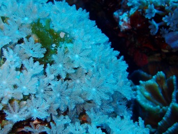 P7030144