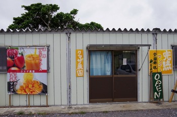 IMGP5272