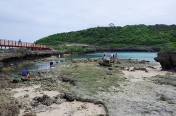 IMGP5354