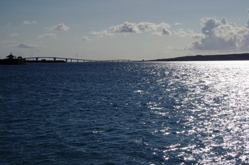 IMGP4844