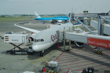 IMGP3393
