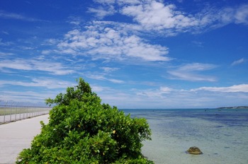 IMGP4985