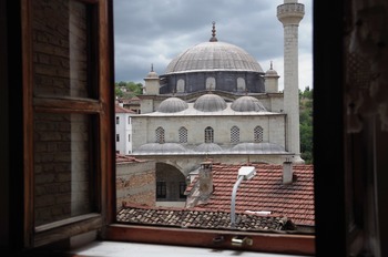 IMGP1932