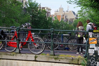 IMGP3573