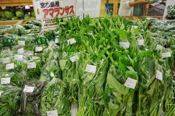 IMGP5526
