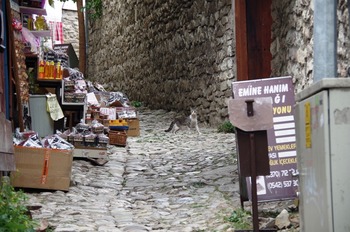 IMGP2010