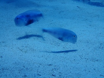 P7030110