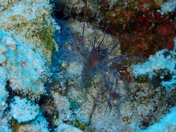 P7030093