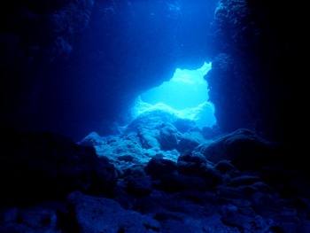 DSCN6107