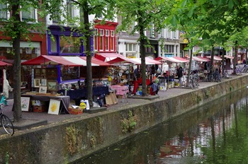 IMGP3665
