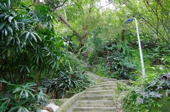 IMGP7938