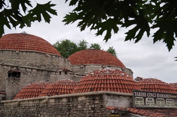 IMGP1855