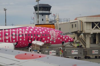 IMGP5642