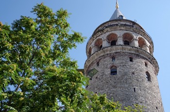 IMGP2965