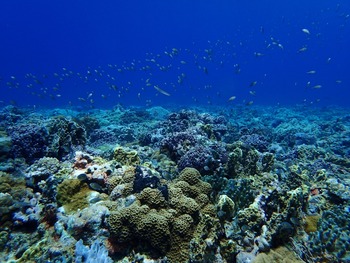 P7030132
