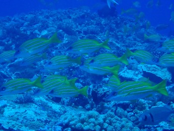 P7030164