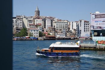 IMGP2916