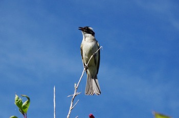 IMGP0879