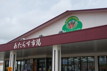 IMGP5531