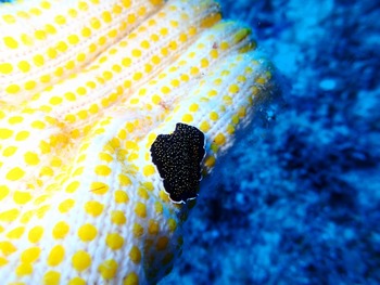 P7030036
