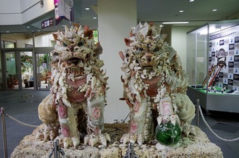 IMGP5534