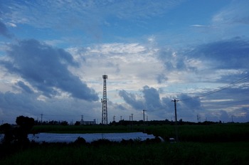 IMGP5179