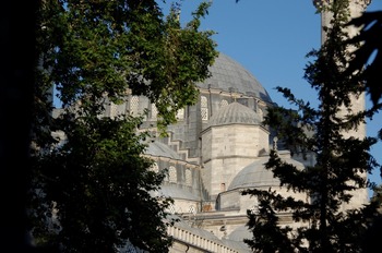 IMGP2493