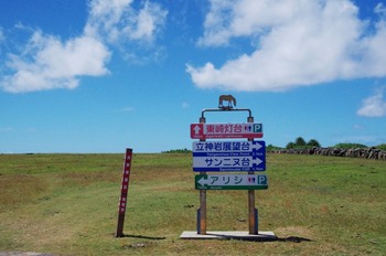 IMGP1052