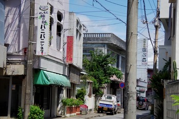 IMGP4819