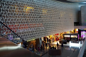 IMGP3350