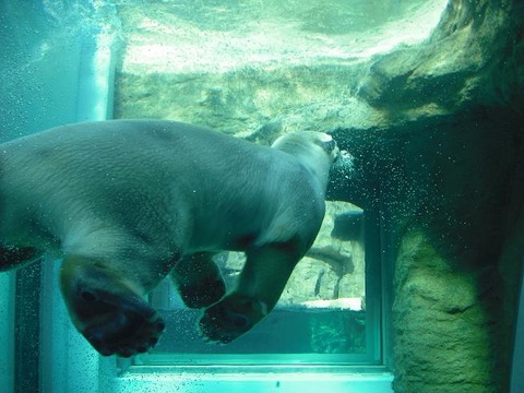 動物園5