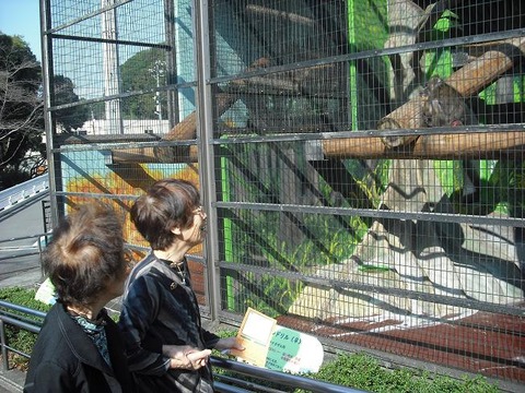 動物園1