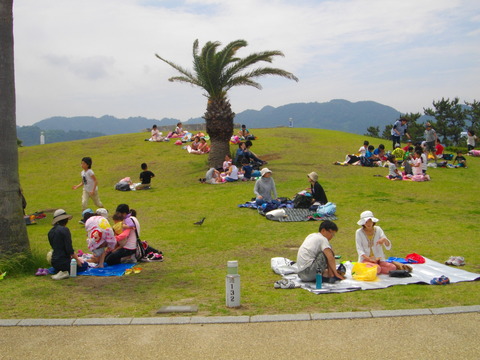 H25.5と6月ひろの公園 113