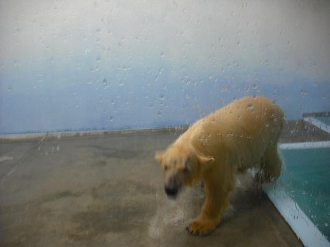 動物園4