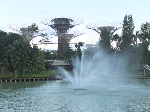 DSCF0794
