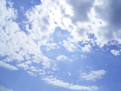 4f6f9313.jpg