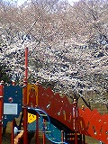 baf6b04d.jpg