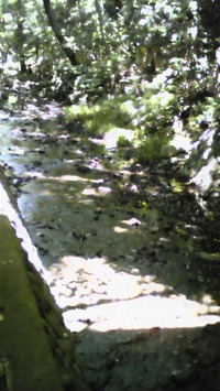 DVC00378