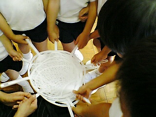 3e274562.jpg