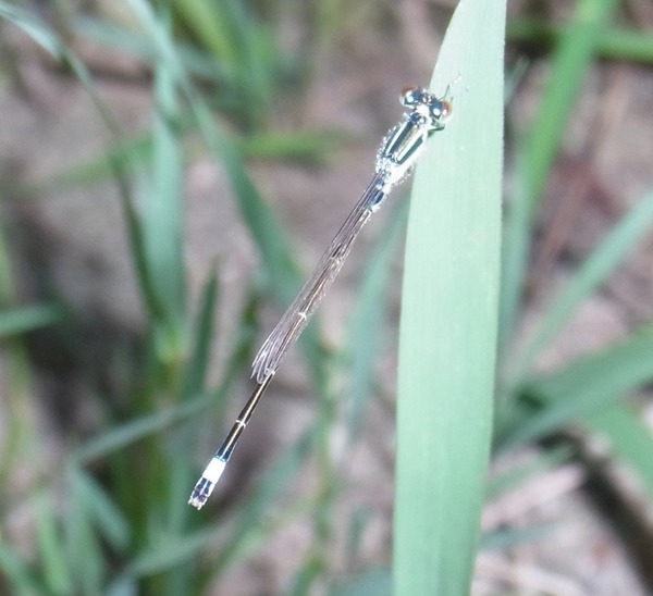 ������󥤥ȥȥ��2