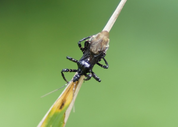 ��˥�������04