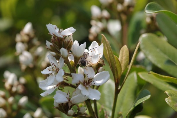 ������Х�