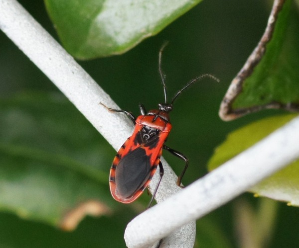 �������ޥ�������04