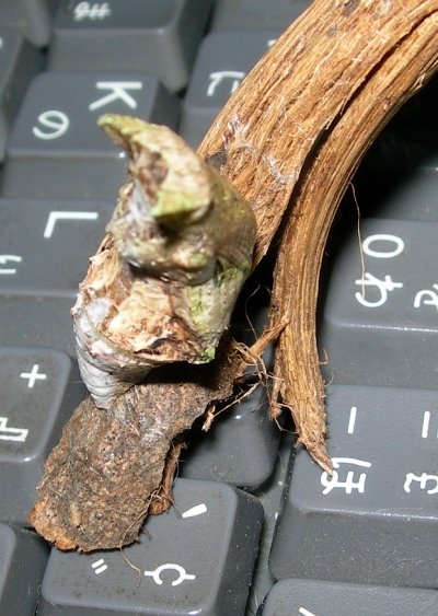 e6a6676e.jpg