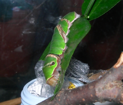c5249c65.jpg