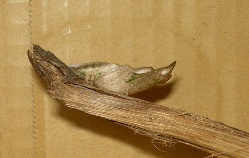 023df752.jpg