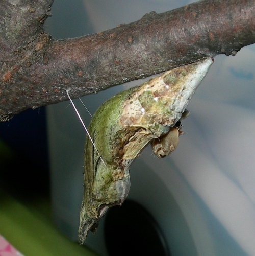 a7b3050e.jpg