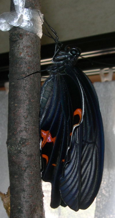 f978e165.jpg