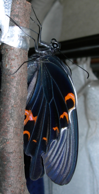 d7d1700d.jpg