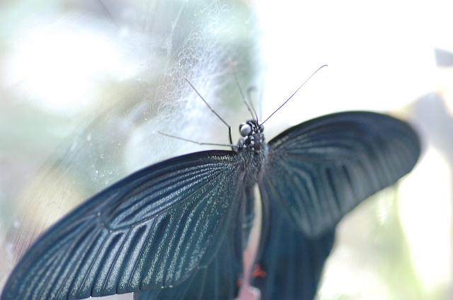 a6c7fa19.jpg